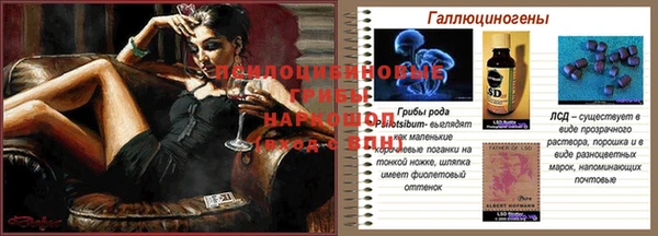 спайс Белоозёрский