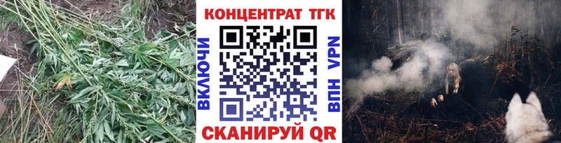 ТГК концентрат  Высоковск 